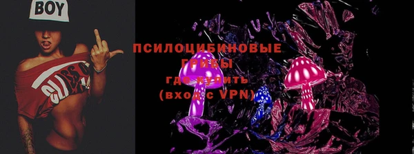 2c-b Кулебаки