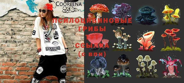 2c-b Кулебаки