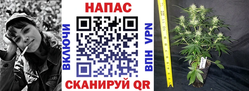 Марихуана Ganja  Купить где  Чухлома 